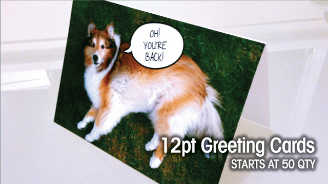 12pt Greeting Cards